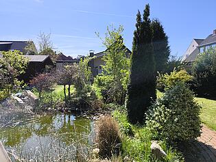 Garten mit Teich