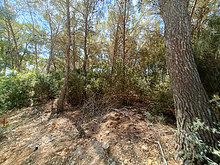 Plot for sale in Sol de Mallorca, Calvia