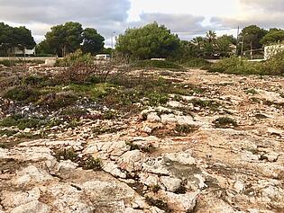 Plot with sea view in Cala Pi