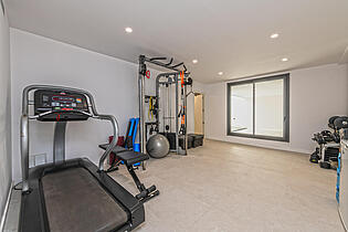 Gym (bedroom IV)