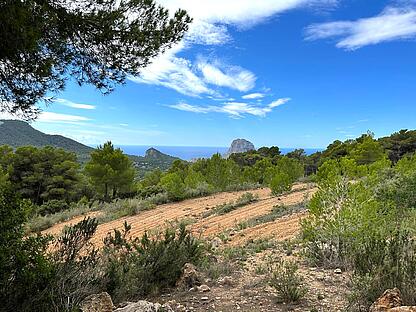 KPI1321 - Finca en venta - Finca zu verkaufen - Finca for sale - Finca te koop - www.kensington-ibiza.com - Noelle Politiek