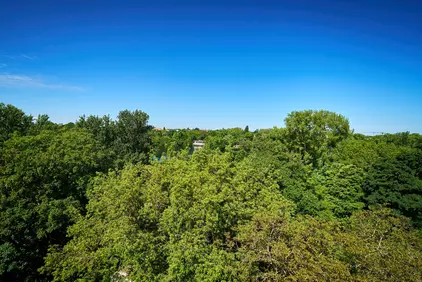 Blick aus dem Fenster