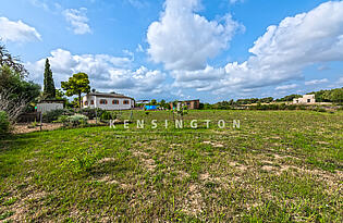 Finca Costitx Mallorca - ausblick 
