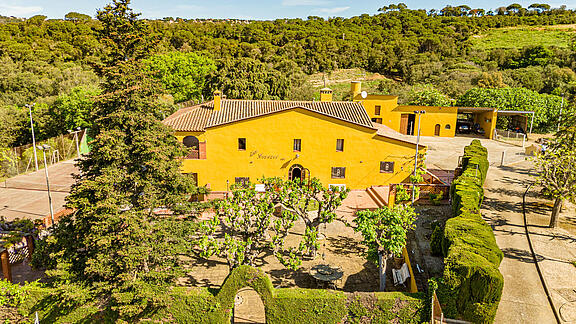 dji_fly_20250430_103418_0095_1746002538782_photo dji_fly_20250430_103418_0095_1746002538782_photo