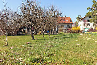 KZO00049 Bauland in Wildberg - Blick Richtung Norden