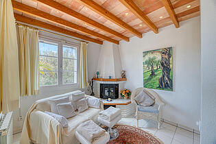 07-Fireplace-room