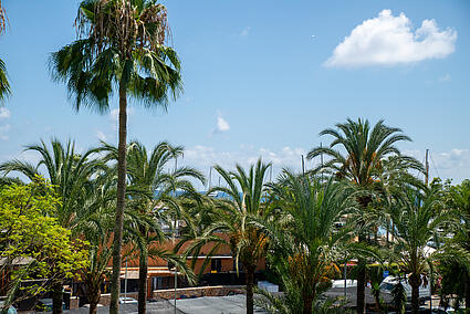 3.view