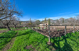 Horse stable