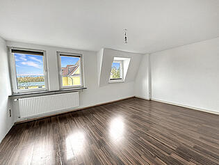Zimmer DG