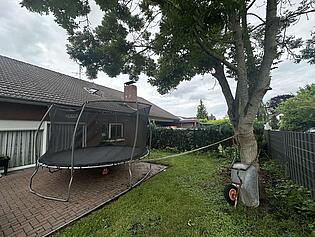 IMG_1661