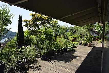 Terrasse Gartengeschoss