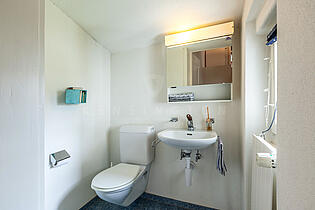 Haus_WetzikonZH-33