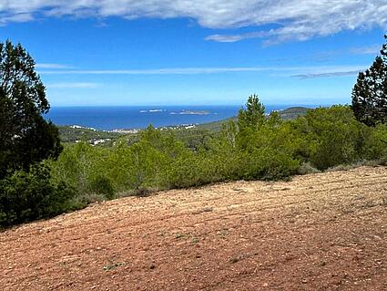 KPI1321 - Finca en venta - Finca zu verkaufen - Finca for sale - Finca te koop -