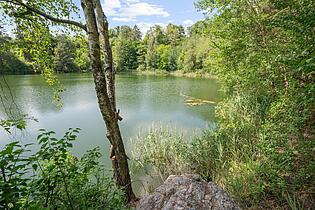 Seeblick