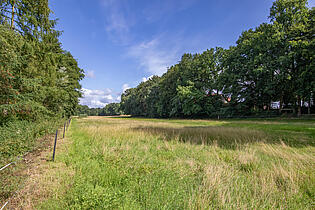 Sommerweide_KBR_859