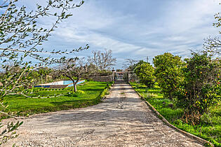 Garden & pool