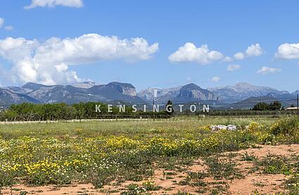 Finca in Santa Maria ,Mallorca 