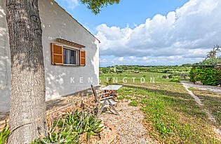 Finca Costitx Mallorca - ausblick