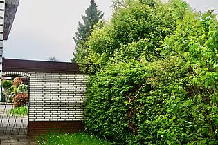 Tor zum Garten 