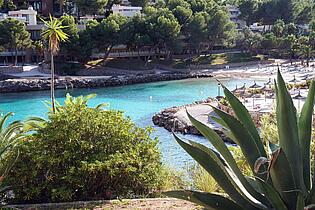 BEACH CALA VINYAS FROM SES BARANES PRIVATE GARDEN