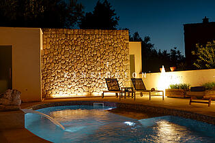 Patio and pool