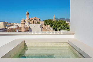 Rooftop terrace / pool