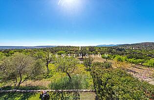 Finca in Santa Maria Aussicht 