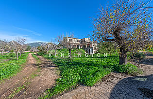 Haus in Bunyola Mallorca-