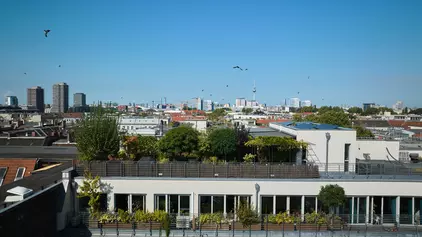 Vogelperspektive