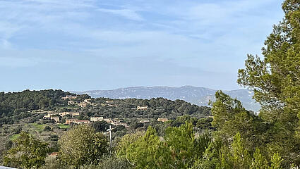 Tramuntana view