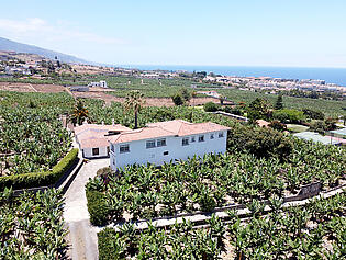 DJI_0483 (1)
