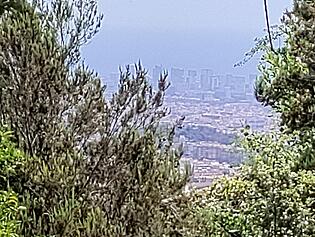 IMG_20240719_123333 - copia