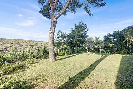 Garden in a villa for sale