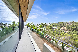 Terrace view